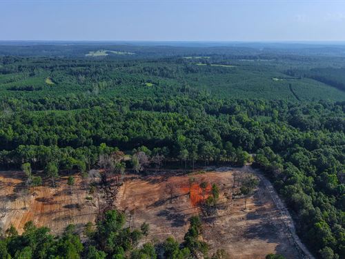 11 Acres in Coffee County, AL : Elba : Coffee County : Alabama