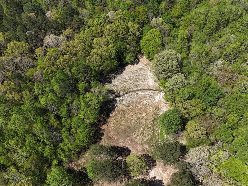 8.25 Acres with a Home in Hardeman : Toone : Hardeman County : Tennessee