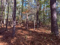 1001 Whooping Creek Rd, Carrollton : Carrollton : Carroll County : Georgia