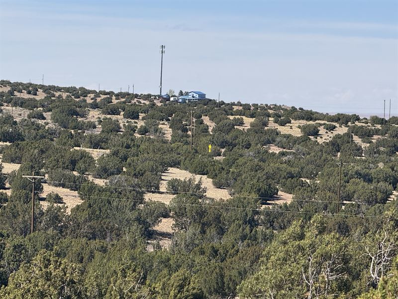 Power-Ready Lot Near Hwy 61 AZ : Concho : Apache County : Arizona