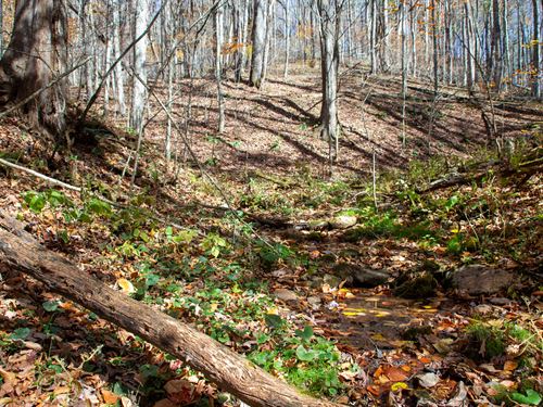 Peaceful NC Mountain Retreat : Creston : Ashe County : North Carolina