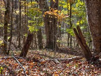 Peaceful NC Mountain Retreat : Creston : Ashe County : North Carolina