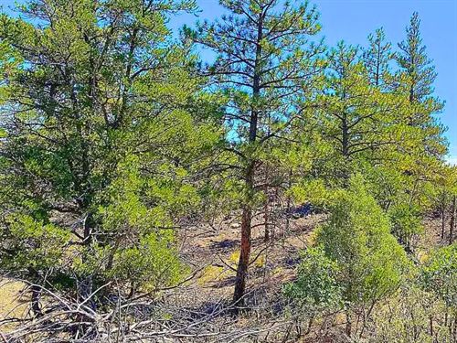 Build, Camp, or Invest in Cotopaxi : Cotopaxi : Fremont County : Colorado