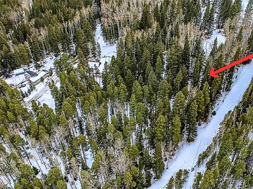 Invest in Colorados Scenic Land : Idaho Springs : Clear Creek County : Colorado