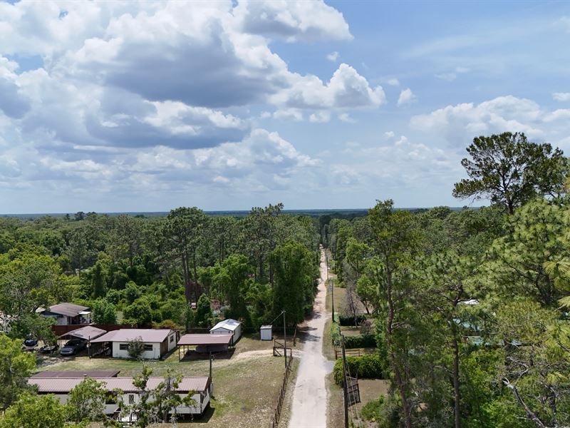 Flexible Lot Perfect Florida Escape : Fort Mc Coy : Marion County : Florida