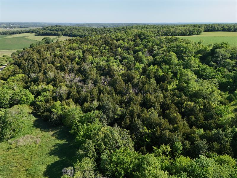Pleasant Grove Build Site : Baldwin City : Douglas County : Kansas