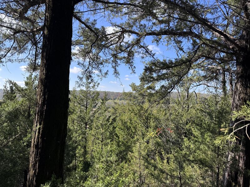 Pleasant Grove Build Site : Baldwin City : Douglas County : Kansas