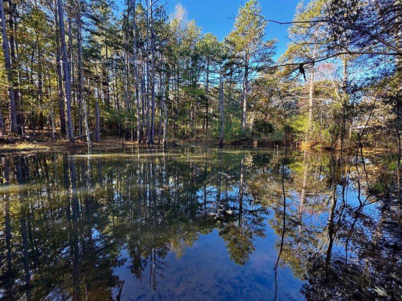 Beautiful 11 AC with Pond for Sa : Doniphan : Ripley County : Missouri
