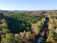 Chandler Springs 20 ac : Talladega : Clay County : Alabama