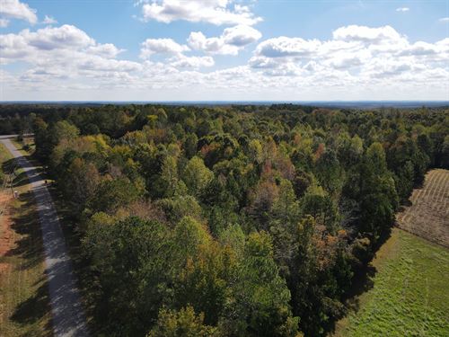 Goldville 6 Acres : Cragford : Clay County : Alabama