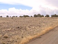 Double Lot, 2.24 Acres, $221/Mo : Concho : Apache County : Arizona
