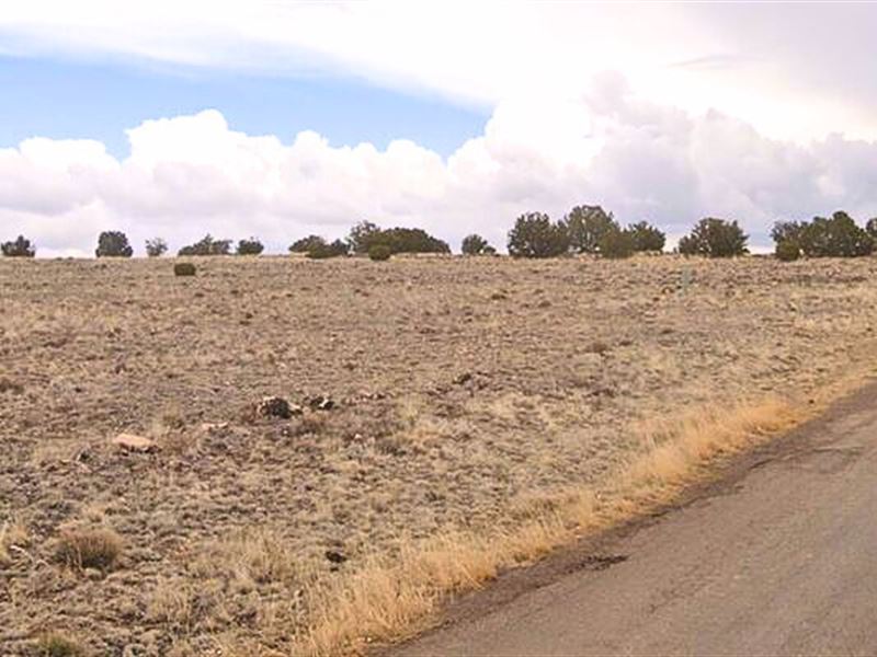 Double Lot, 2.24 Acres, $221/Mo : Concho : Apache County : Arizona