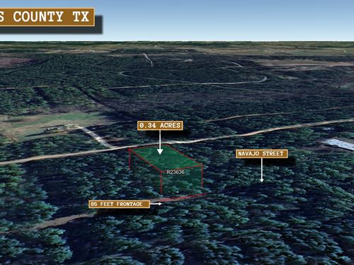 .34 Acre in Navasota, $275/Mo : Navasota : Grimes County : Texas