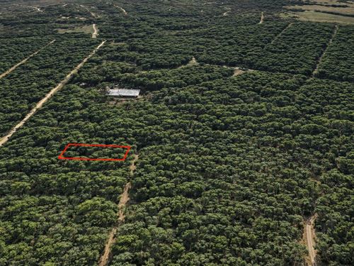 .34 Acre Wooded Lot Near Developme : Navasota : Grimes County : Texas