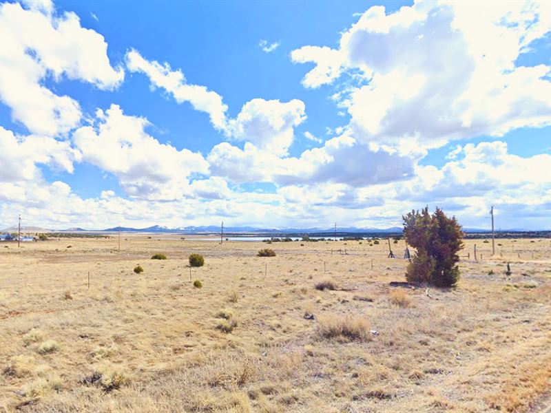 Near Lake, 1.12 Acres $105/Mo. Only : Concho : Apache County : Arizona