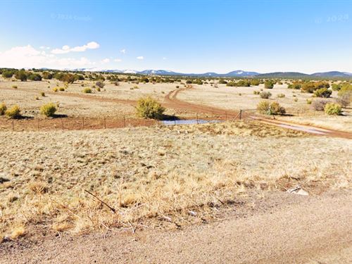 Arizona Freedom, 1.12 Acre, NO HOA : Concho : Apache County : Arizona