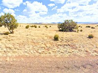 Build, Camp, or RV, 1.12 Acres AZ : Concho : Apache County : Arizona