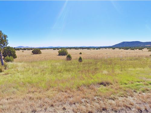 Secret Arizona Land Waiting for You : Concho : Apache County : Arizona