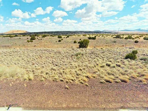 Arizona Freedom, 1.12 Acre, NO HOA : Concho : Apache County : Arizona