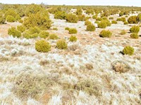 Rare Lot in Az, 1.12 Acre, $105/Mo : Concho : Apache County : Arizona