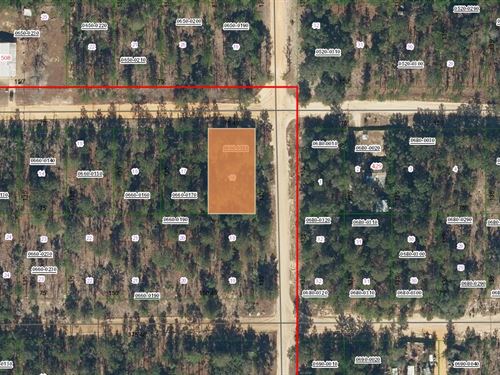 Grab Florida Land Magic $199 Down : Interlachen : Putnam County : Florida