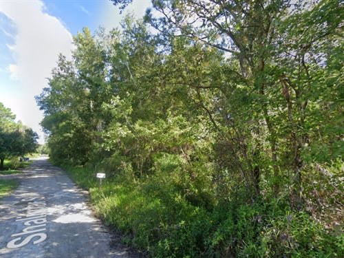 Mobile Homes Lot : New Port Richey : Pasco County : Florida