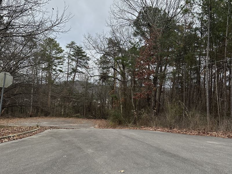 Side-By-Side Lots in Birmingham : Pinson : Jefferson County : Alabama