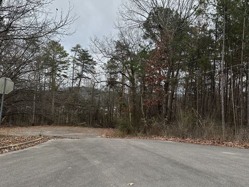 Side-By-Side Lots in Birmingham : Pinson : Jefferson County : Alabama