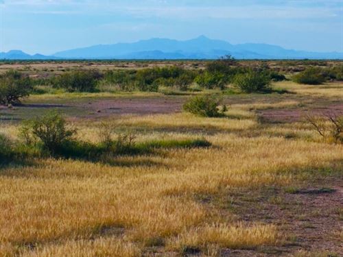 Off-Grid Lot in Luna County : Sunshin : Luna County : New Mexico