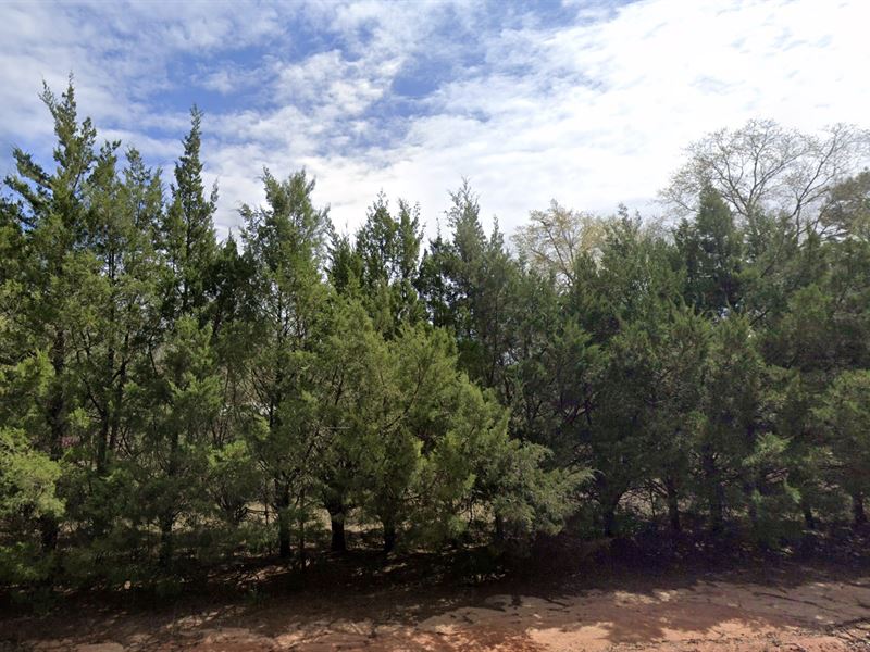 Build Dreams Not Sandcastles : Defuniak Springs : Walton County : Florida