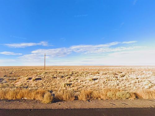 Grab This 1.25 Acre Now for $101/Mo : Sun Valley : Navajo County : Arizona