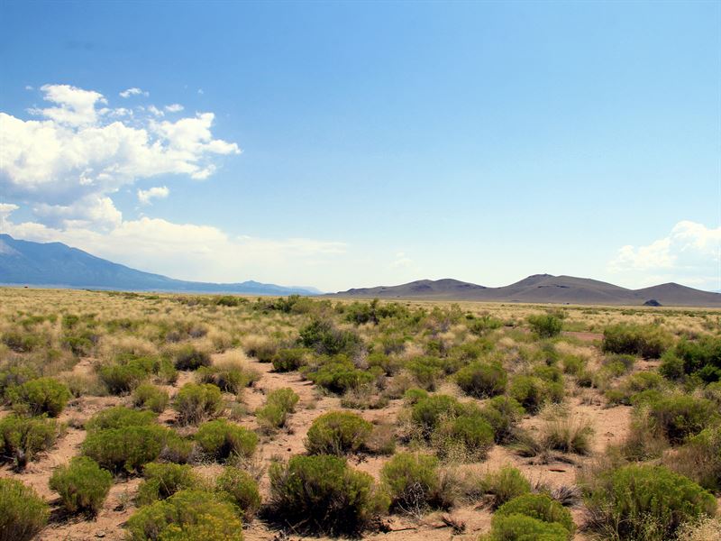 Your 4.96 Acre Colorado Sanctuary : Blanca : Costilla County : Colorado