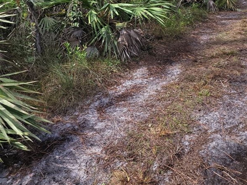 Private Camping and Hunting : Stuart : Martin County : Florida