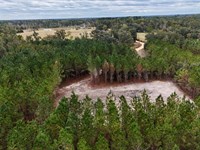 Tract 2 and 3, Penny Morris Road : Baxley : Appling County : Georgia