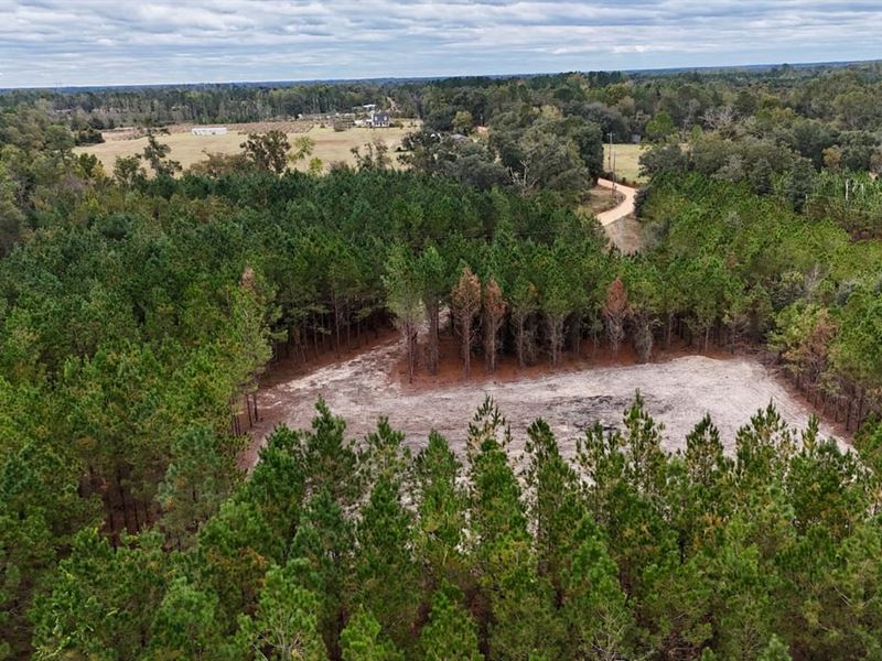 Tract 2 and 3, Penny Morris Road : Baxley : Appling County : Georgia