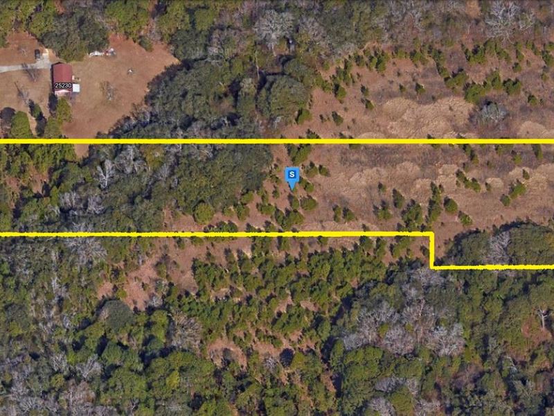 Comfort & Convenience : Daphne : Baldwin County : Alabama