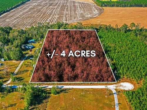 4.7 AC Suwannee County : Live Oak : Suwannee County : Florida