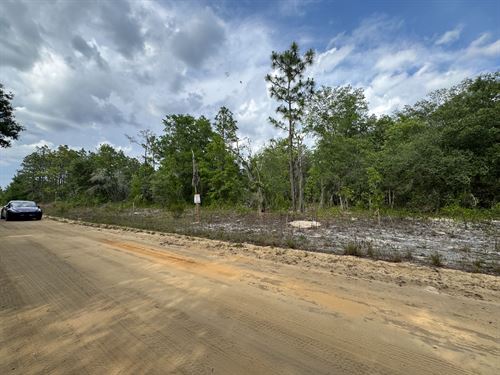 Private Lot Close to Lake Grandin : Interlachen : Putnam County : Florida