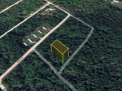 Your Land, Your Way, $199 Down : Satsuma : Putnam County : Florida