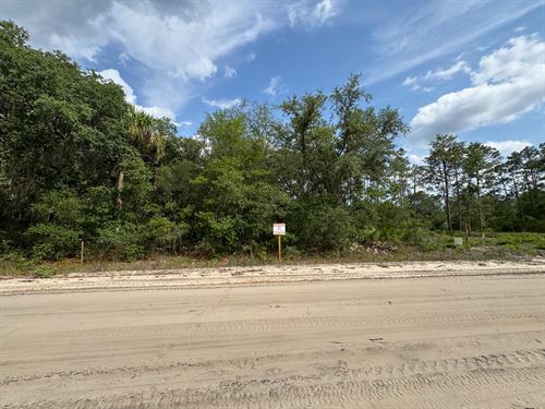 Prime Florida Lot, Easy to Build : Interlachen : Putnam County : Florida