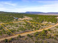 Colorado Homestead, Trees & Views : Fort Garland : Costilla County : Colorado