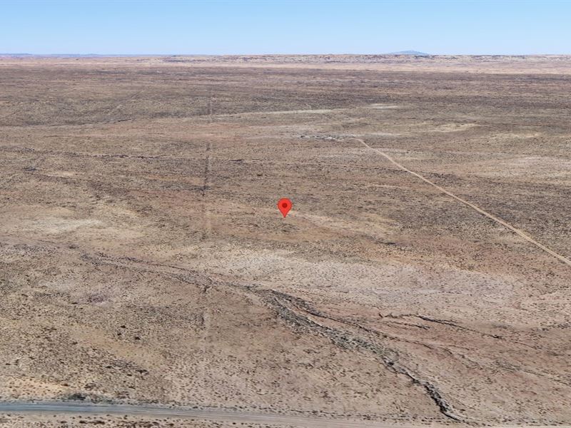 Escape The City, Own Land in AZ : Sun Valley : Navajo County : Arizona