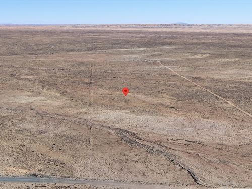 Escape The City, Own Land in AZ : Sun Valley : Navajo County : Arizona