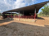 Turnkey Dairy & Cattle Farm in Kati : Guatuso : Costa Rica