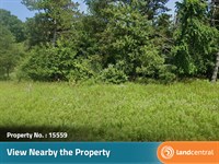 .33 Acres in Montcalm, MI : Montcalm : Michigan