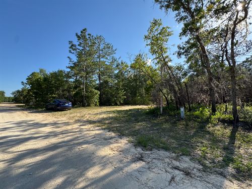 Start Fresh in Lakeside Hills FL : Florahome : Putnam County : Florida