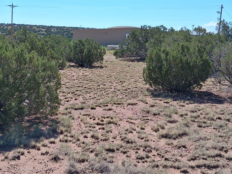 Rare Twin Lots Near Concho Shops : Concho : Apache County : Arizona