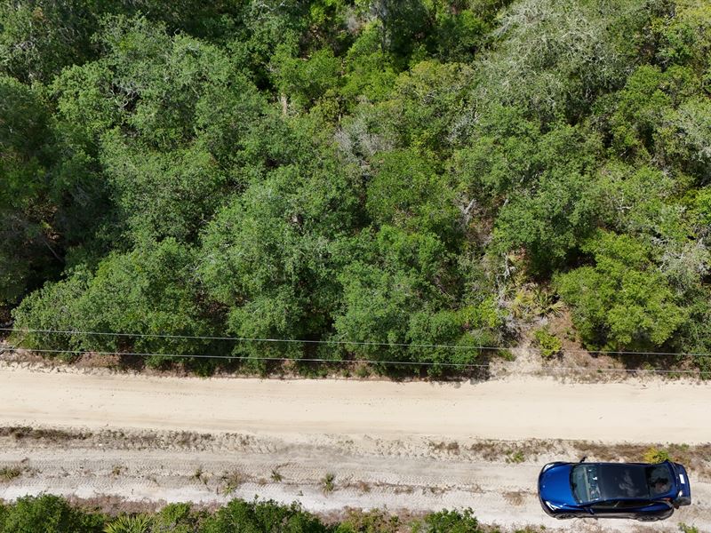 Nature Lovers Dream Location : Fort Mc Coy : Marion County : Florida