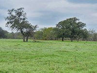 2.63 Acres in Caldwell County : Luling : Caldwell County : Texas