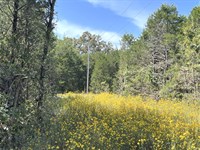 Build Home & Vacation Getaway in AR : Horseshoe Bend : Izard County : Arkansas